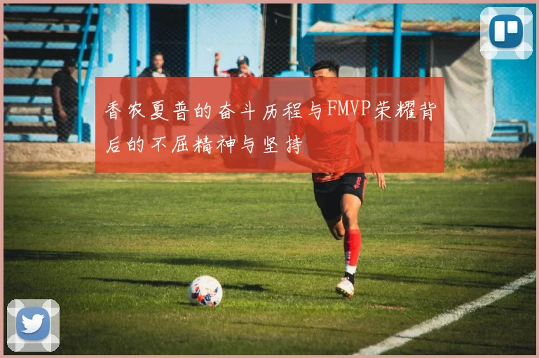 香农夏普的奋斗历程与FMVP荣耀背后的不屈精神与坚持