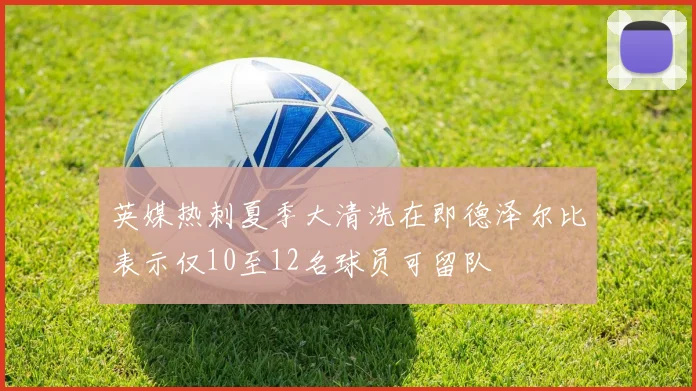 英媒热刺夏季大清洗在即德泽尔比表示仅10至12名球员可留队